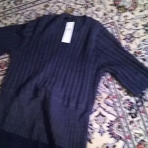 Womens large Navy blue dress from Ann Taylot